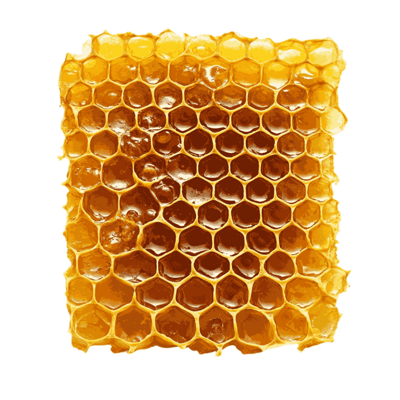 kako-prepoznati-pravi-med